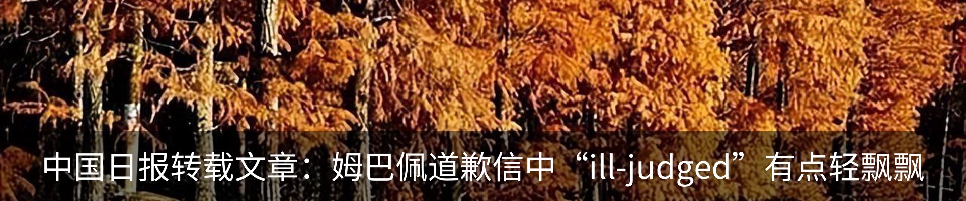 资讯动态