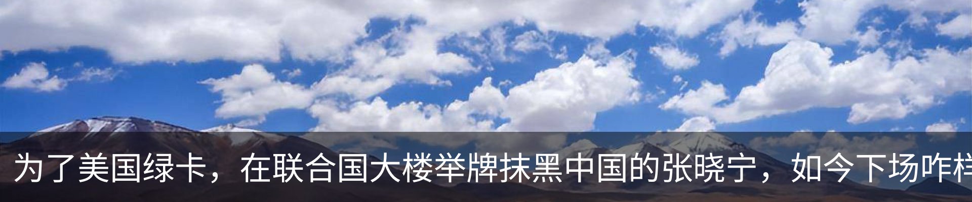 资讯动态