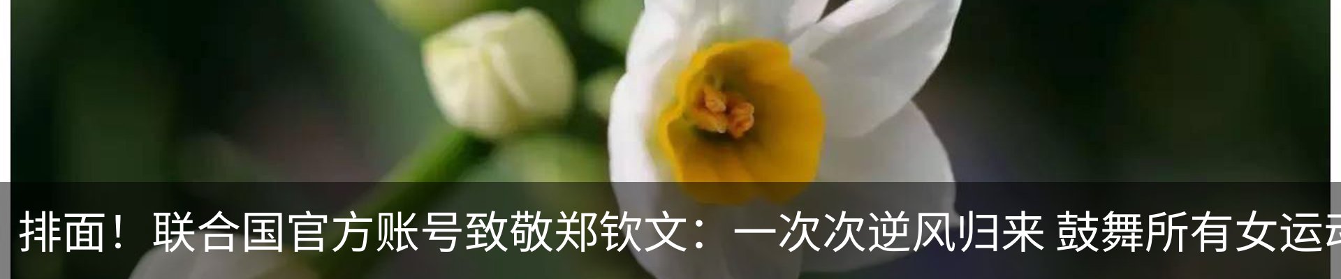 资讯动态