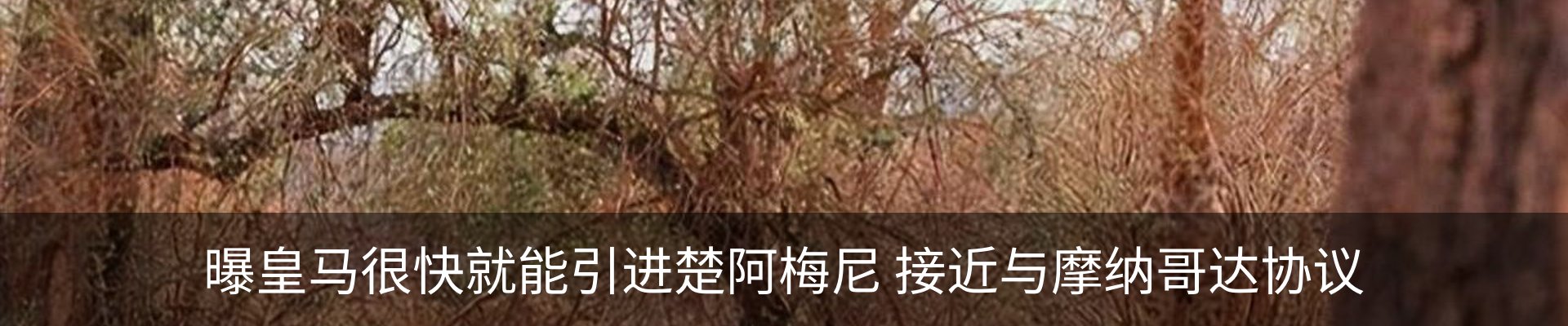 资讯动态