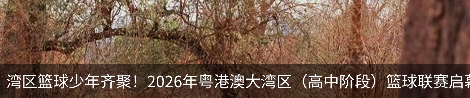 资讯动态