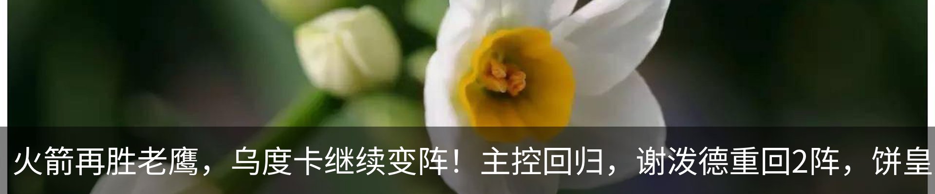 资讯动态