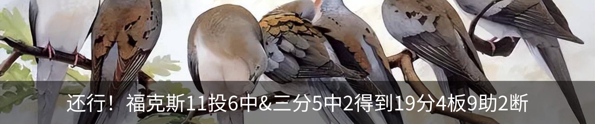 资讯动态