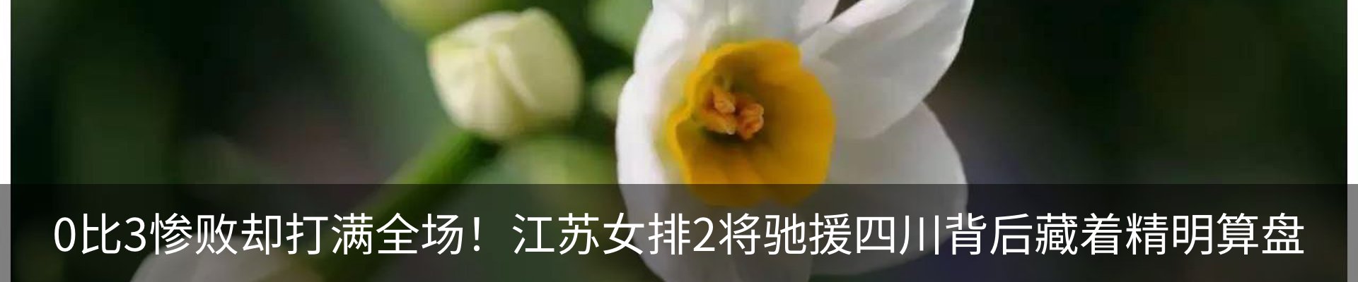 资讯动态