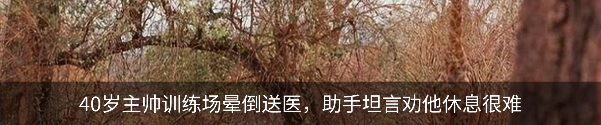 资讯动态