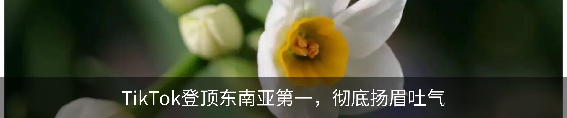 资讯动态