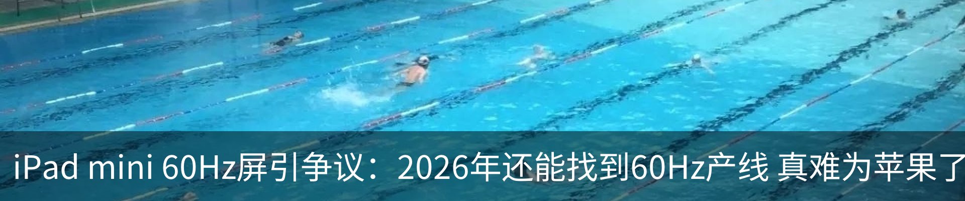 资讯动态